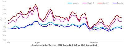 Changes in cortisol and cortisone in hair of pigs reared under heat stress conditions